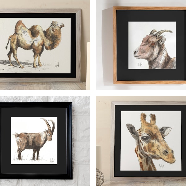Handmade watercolor illustrations - camel, giraffe, ibex and chamois