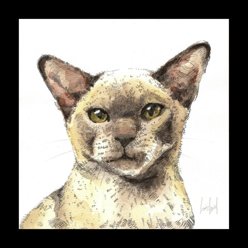 Handmade watercolor illustrations Cats, wolf and serval image 4