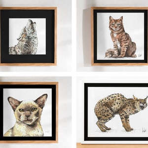 Handmade watercolor illustrations Cats, wolf and serval image 1