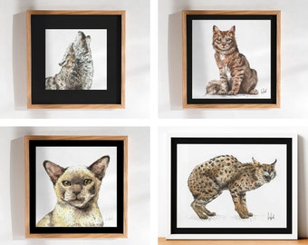 Handmade watercolor illustrations - Cats, wolf and serval