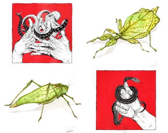 Handmade watercolor and ink illustrations - Hands and Insects