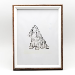 May include: A black and white pencil drawing of a cocker spaniel dog sitting in a white frame.