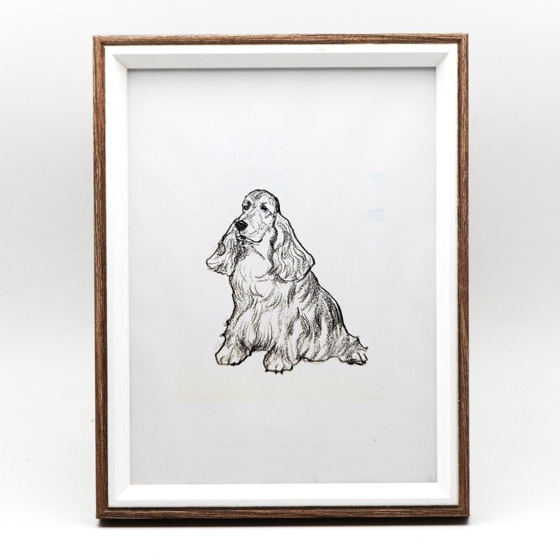 May include: A black and white pencil drawing of a cocker spaniel dog sitting in a white frame.