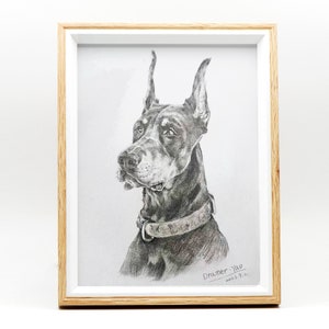 Custom Pet Portrait Sketch, Dog Portrait from Photo, Pet memorial Gifs, Custom Dog & Cat Illustration Drawing, Pet Lover Gift