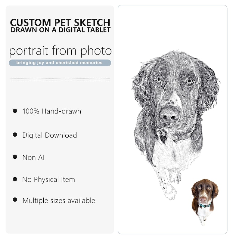 Hand-Drawn Charcoal Cat Portrait from Photo • Personalized Pet Sketch • Custom Memorial / Keepsake Gift Digital File