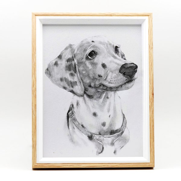 Custom Pet Portrait Sketch, Dog Portrait from Photo, Pet memorial Gifs, Custom Dog & Cat Illustration Drawing, Pet Lover Gift