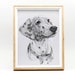 see more listings in the Pet Sketch section