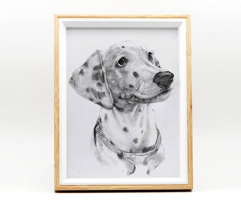 Custom Pet Portrait Sketch, Dog Portrait from Photo, Pet memorial Gifs, Custom Dog & Cat Illustration Drawing, Pet Lover Gift image 1