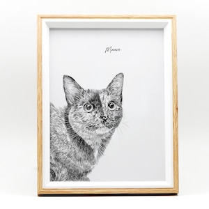 May include: A black and white drawing of a cat named Maeve in a wood frame. The cat is looking to the right of the image.