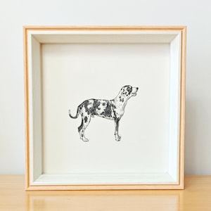 Custom Pet Portrait Sketch, Dog Portrait from Photo, Pet memorial Gifs, Custom Dog & Cat Illustration Charcoal Pet Drawing, Pet Lover Gift