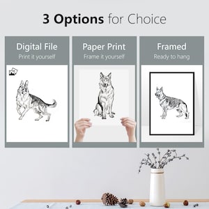 May include: Three options for purchasing a black and white line drawing of a German Shepherd dog: a digital file, a paper print, or a framed print. The digital file can be printed at home, the paper print requires framing, and the framed print is ready to hang.