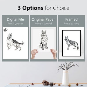 May include: Three options for purchasing a black and white line drawing of a German Shepherd dog. The first option is a digital file, the second is an original paper print, and the third is a framed print.