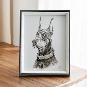 Custom Pet Portrait Sketch, Dog Portrait from Photo, Pet memorial Gifs, Custom Dog & Cat Illustration Drawing, Pet Lover Gift image 6