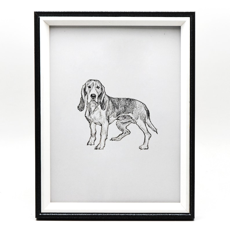 May include: Black and white drawing of a dog in a black frame with a white mat.
