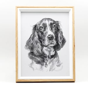 Personalised Pet Sketch, Custom Animal Drawing, Bespoke Portrait, Dog Cat Lover Illustration, Memorial Artwork, Pet Lover Gift
