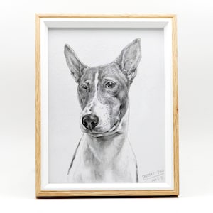 Custom Pet Portrait Sketch, Dog Portrait from Photo, Pet memorial Gifs, Custom Dog & Cat Illustration Drawing, Pet Lover Gift image 7