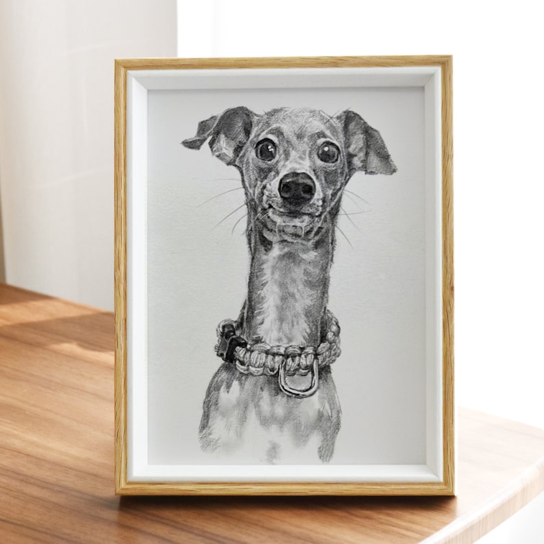 Custom Pet Portrait Sketch, Dog Portrait from Photo, Pet memorial Gifs, Custom Dog & Cat Illustration Drawing, Pet Lover Gift image 9