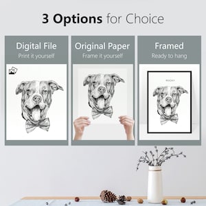 Custom Pet Portrait Sketch, Dog Portrait from Photo, Pet memorial Gifs, Custom Dog & Cat Illustration Drawing, Pet Lover Gift image 2