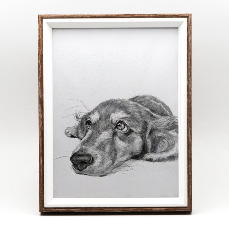 Custom Pet Portrait Sketch, Dog Portrait from Photo, Pet memorial Gifs, Custom Dog & Cat Illustration Drawing, Pet Lover Gift image 8