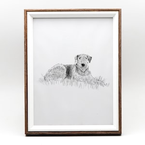 May include: A black and white line drawing of a dog lying in the grass. The dog is looking directly at the viewer. The drawing is framed in a brown and white frame.