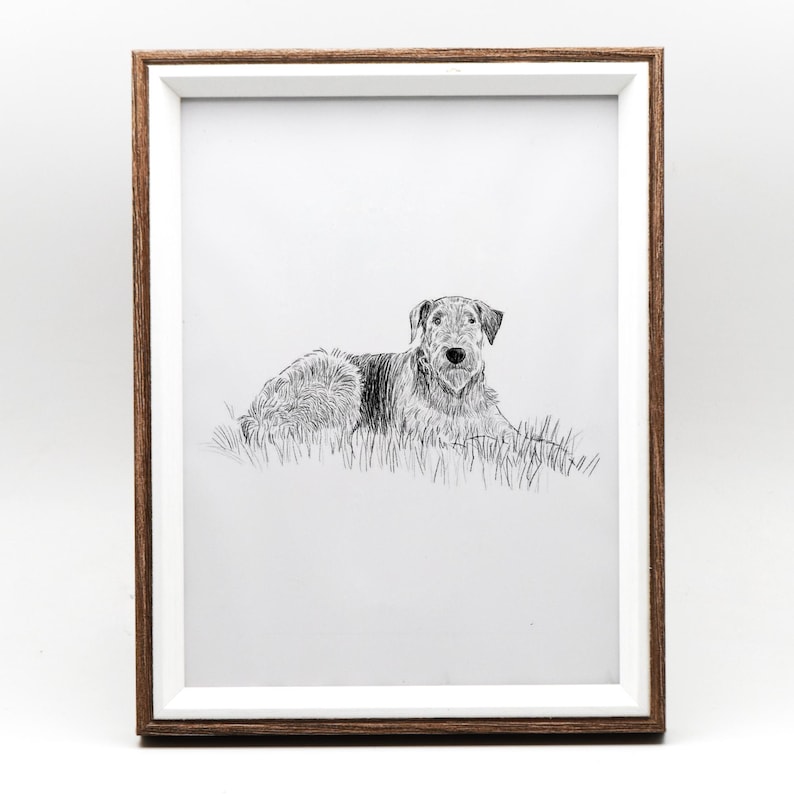 May include: A black and white line drawing of a dog lying in the grass. The dog is looking directly at the viewer. The drawing is framed in a brown and white frame.