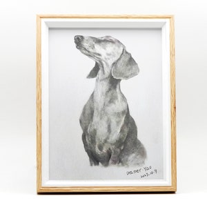 Custom Pet Portrait Sketch, Dog Portrait from Photo, Pet memorial Gifs, Custom Dog & Cat Illustration Drawing, Pet Lover Gift