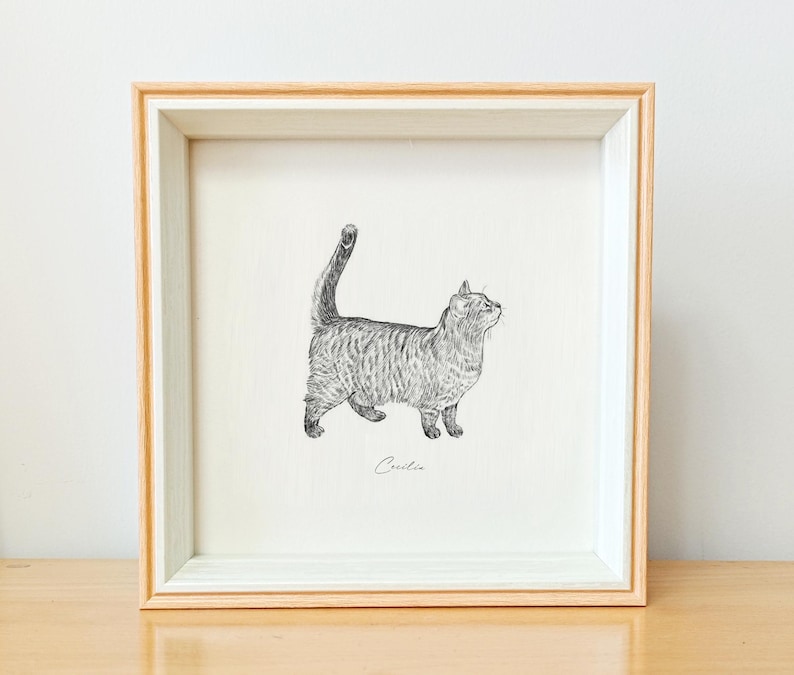 May include: A black and white drawing of a cat in a wooden frame. The cat is looking to the right and the drawing is signed "Cecilia".