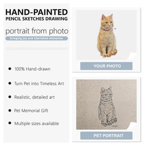 Hand-Drawn Charcoal Cat Portrait from Photo • Personalized Pet Sketch • Custom Memorial / Keepsake Gift image 2