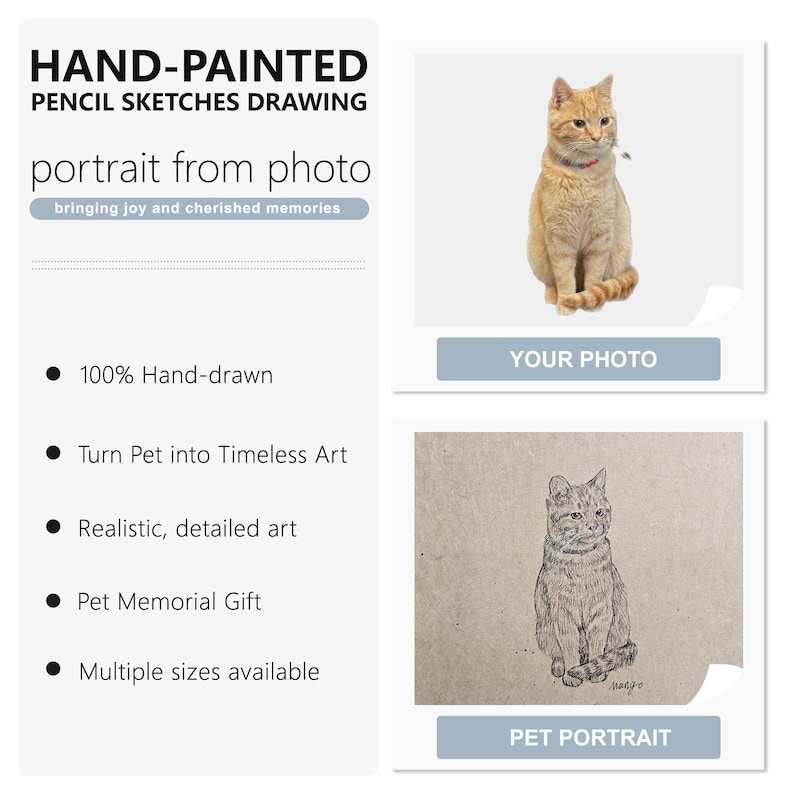 Hand-Drawn Charcoal Cat Portrait from Photo • Personalized Pet Sketch • Custom Memorial / Keepsake Gift image 2