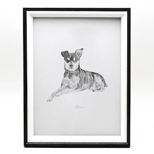 May include: Black and white pencil drawing of a dog in a black frame. The dog is lying down and looking at the viewer. The drawing is signed "Bliss".