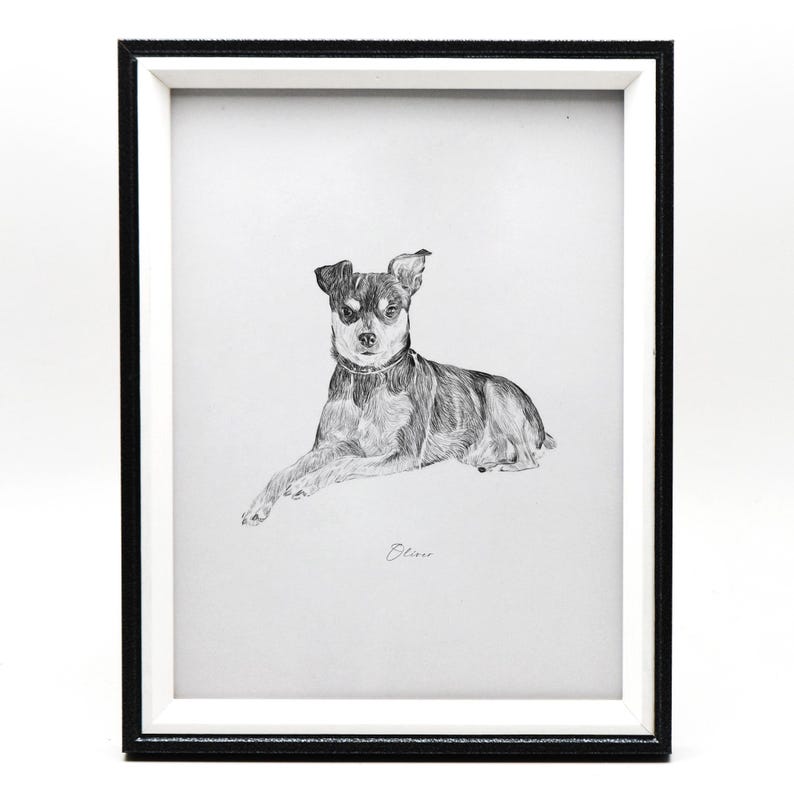 May include: Black and white pencil drawing of a dog in a black frame. The dog is lying down and looking at the viewer. The drawing is signed "Bliss".
