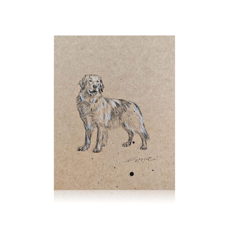 May include: A black and white pen and ink drawing of a golden retriever dog on a brown paper background.