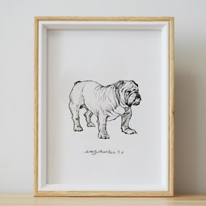 May include: A black and white line drawing of a bulldog in a white frame. The drawing is signed "_arong_chunsil_ 9.6"