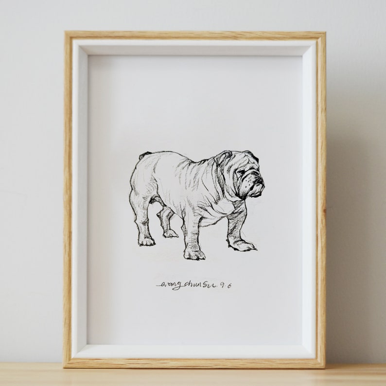 May include: A black and white line drawing of a bulldog in a white frame. The drawing is signed "_arong_chunsil_ 9.6"