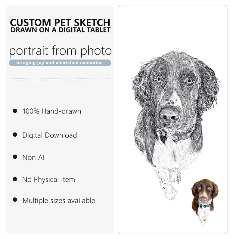 Handmade Charcoal Pet Portrait from Photo: Custom Dog Memorial Art Digital File