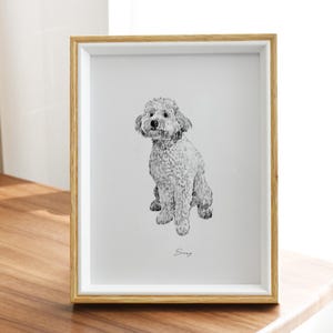 May include: A framed black and white drawing of a small white dog sitting. The dog is looking at the camera. The frame is made of wood with a white mat. The dog's name, "Snowy", is written below the drawing.