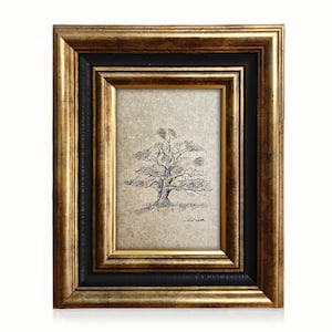 Hand-Drawn Oak Tree Pencil Drawing: Botanical Wall Art