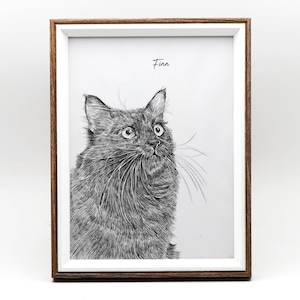 May include: A black and white line drawing of a cat named Finn in a wood frame. The cat is looking up and to the right.