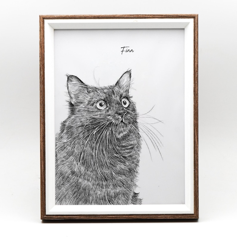 May include: A black and white line drawing of a cat named Finn in a wood frame. The cat is looking up and to the right.