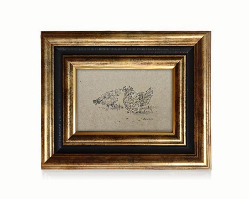 Chicken Shadow Ink Original Hand Drawn Chicken Sketch Ink Artwork Farmhouse Animal Wall ...