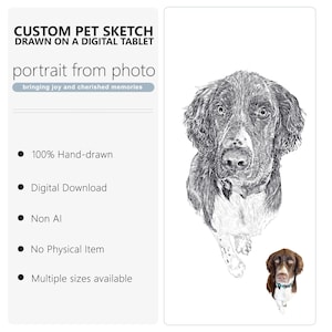 Hand-Drawn Pet Portrait: Custom Dog or Cat Sketch, Pet Memorial Gift Digital File