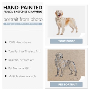 Custom Pet Portrait Sketch: Hand-Drawn Charcoal Dog & Cat Art image 2