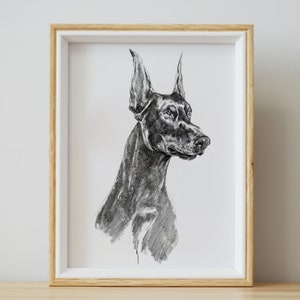 Custom Pet Portrait Sketch, Dog Portrait from Photo, Pet memorial Gifs, Custom Dog & Cat Illustration Drawing, Pet Lover Gift image 10