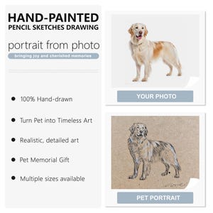 Handmade Charcoal Pet Portrait from Photo: Custom Dog Memorial Art image 2