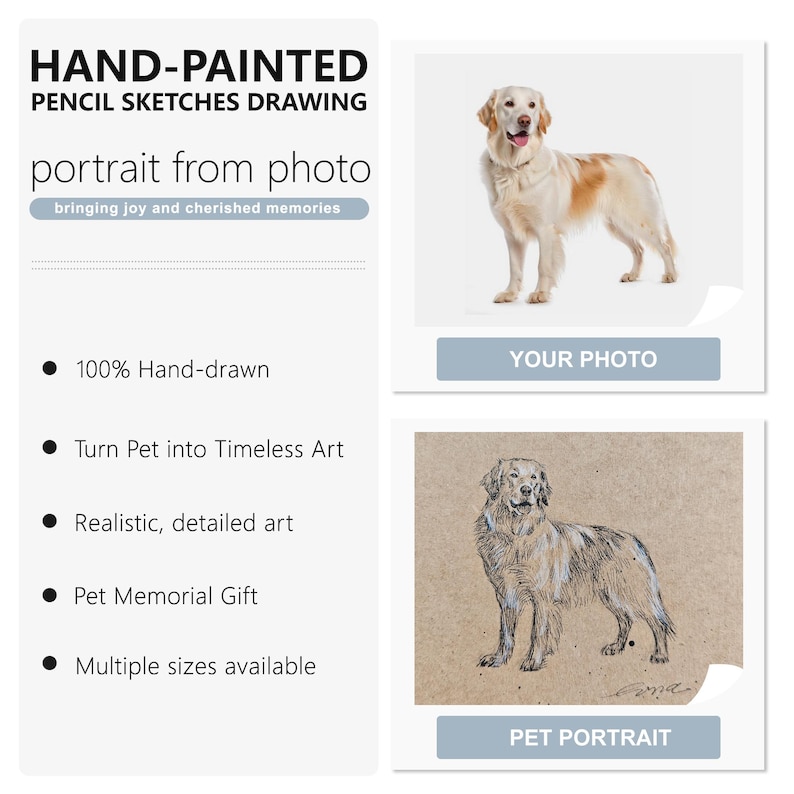 Handmade Charcoal Pet Portrait from Photo: Custom Dog Memorial Art image 2