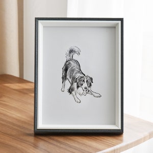 May include: A black and white drawing of a dog in a gray picture frame. The dog is a border collie with its tongue sticking out.
