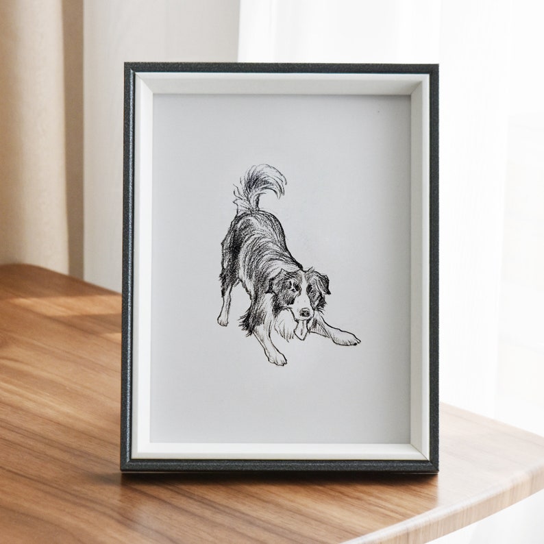 May include: A black and white drawing of a dog in a gray picture frame. The dog is a border collie with its tongue sticking out.