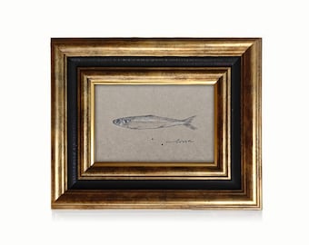 Original Hand-Drawn Pilchard Artwork – Charcoal & Pencil Fish Sketch, Minimalist Drawing