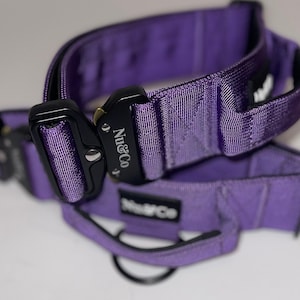 Puede incluir: Collar para perro morado con una hebilla negra y el texto "Nug & Co." en la hebilla. El collar está hecho de un material de nylon duradero.