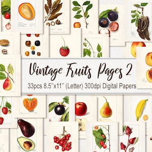 Fruits Food Illustration. DIGITAL DOWNLOAD. Printable Antique Vintage Old Illustrations Pages Paper Sheets Wall Art Poster. 33 PACK